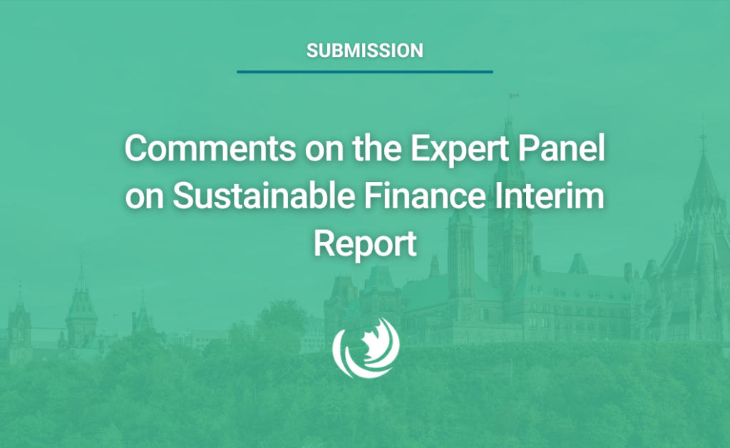 Comments on the Expert Panel on Sustainable Finance Interim Report
