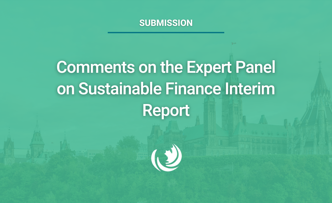 Commentaires sur le rapport intérimaire du comité expert sur la finance durable