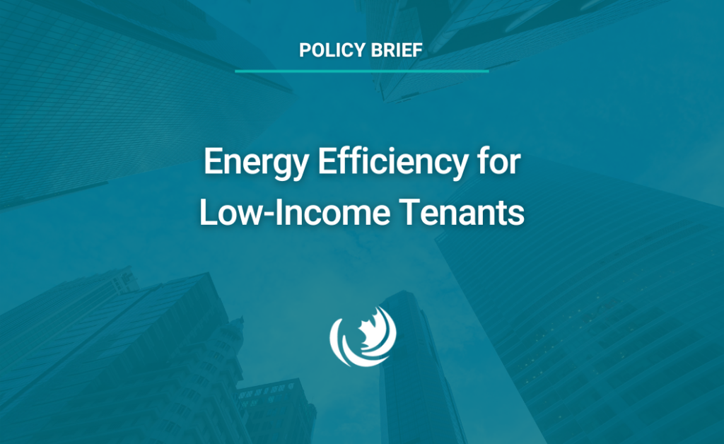 Energy Efficiency for Low-Income Tenants