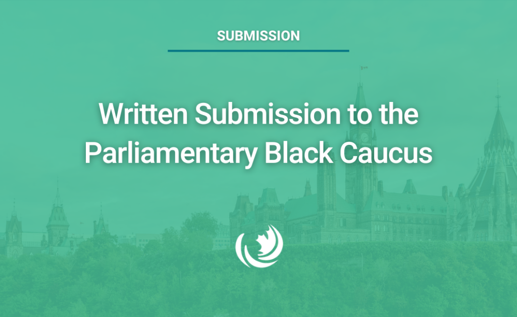 Written Submission to the Parliamentary Black Caucus